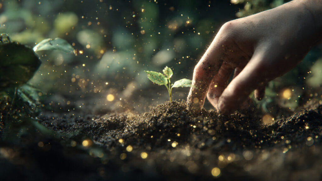 Hands planting a seed in soil symbolizing growth in numerology 2026